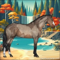 Horse Color:Brown Dun  and Brown Dun 