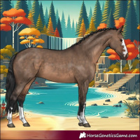 Horse Color:Brown Dun  and Brown Dun 