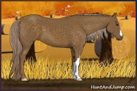 Horse Color:Chocolate Palomino 