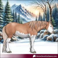 Horse Color:Gold Champagne Splash
