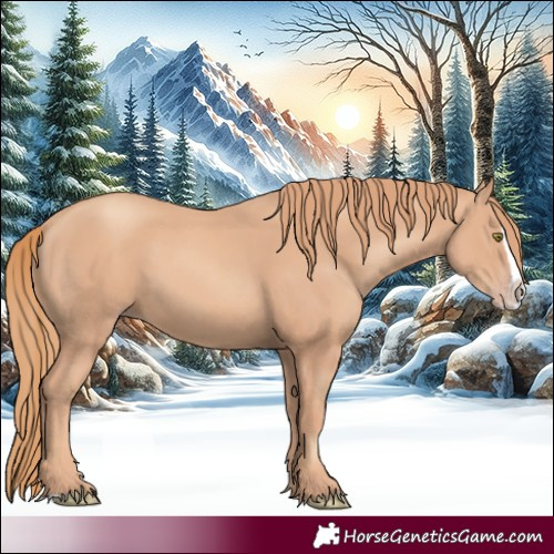 Horse Color:Gold Champagne Splash