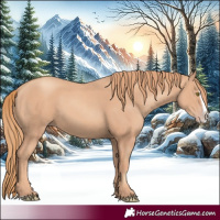 Horse Color:Gold Champagne Splash 