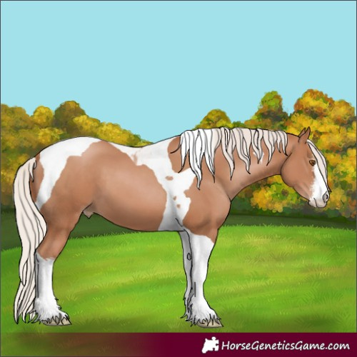 Horse Color:White Spotted Chocolate Silver Black Pearl Tobiano 
