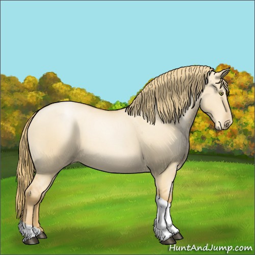 Horse Color:Red Dun Pearl Tobiano 