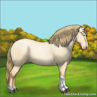 Horse Color:Red Dun Pearl Tobiano 