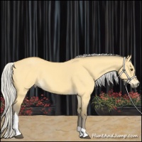 Horse Color:Silver Buckskin Dun Tobiano