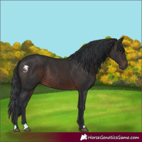 Horse Color:Brown 