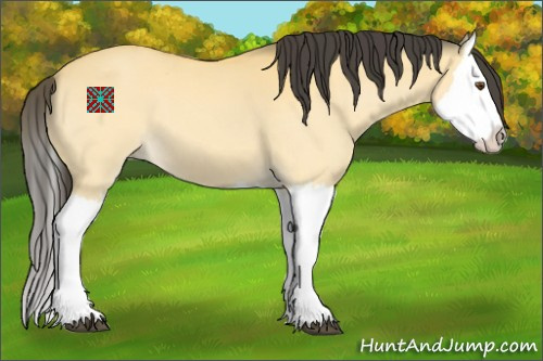 Horse Color:Buckskin Dun Splash