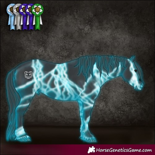 Horse Color:Void Thunderstruck Black