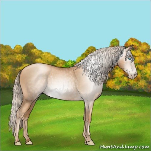 Horse Color:Gray Gold Cream Champagne Pearl 