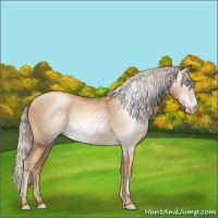 Horse Color:Gray Gold Cream Champagne Pearl 