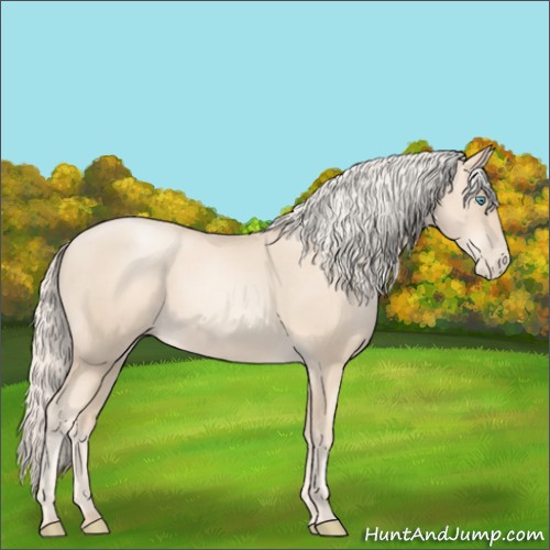 Horse Color:Gold Cream Champagne Pearl 