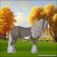 Horse Color:Silver Black Sabino Splash Frame 