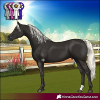 Horse Color:Liver Chestnut Mushroom 