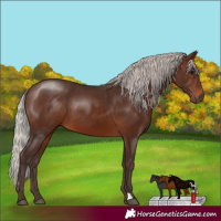Horse Color:Silver Brown 
