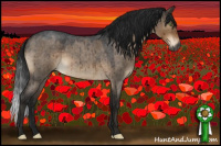 Horse Color:Gray Brown Roan Dun Mushroom Sabino Brindle 