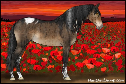 Horse Color:Gray Brown Dun Sabino Appaloosa Brindle