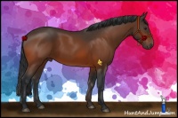 Horse Color:Brown 