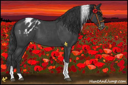 Horse Color:Blue Roan Tobiano Appaloosa Rabicano 