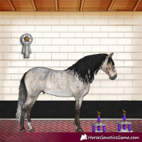 Horse Color:Gray Brown Roan Dun Mushroom Sabino Brindle