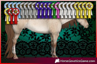 Horse Color:Brown Pearl Dun Tobiano Rabicano Brindle 