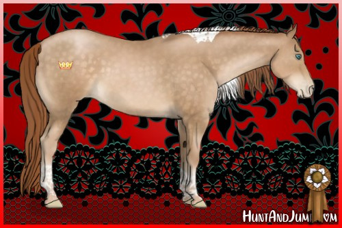Horse Color:Buckskin Pearl Tobiano