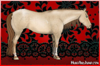 Horse Color:Smoky Grullo Pearl Tobiano Rabicano Brindle