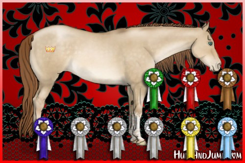 Horse Color:Smoky Grullo Pearl Tobiano Rabicano