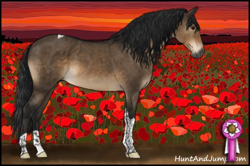 Horse Color:Gray Brown Dun Sabino Tobiano Rabicano Brindle 