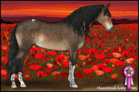 Horse Color:Gray Brown Dun Sabino Tobiano Rabicano Brindle 