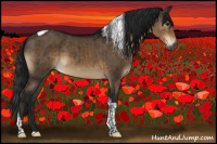 Horse Color:Gray Brown Dun Sabino Tobiano Rabicano Brindle