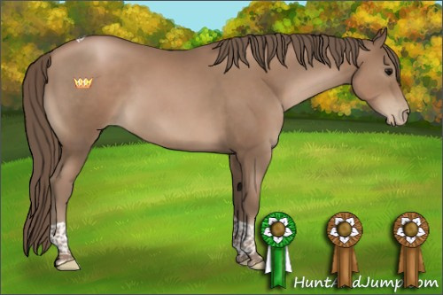 Horse Color:Black Pearl Tobiano 