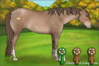 Horse Color:Black Pearl Tobiano