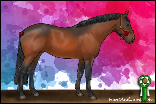 Horse Color:Brown 
