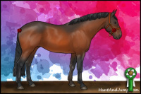 Horse Color:Brown 