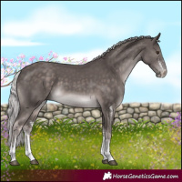 Horse Color:Platinum White Spotted Chocolate Palomino 