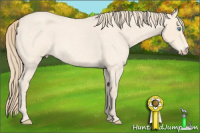 Horse Color:Perlino Roan 