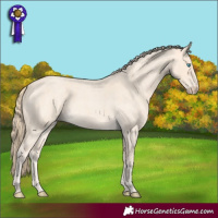 Horse Color:Perlino Roan 