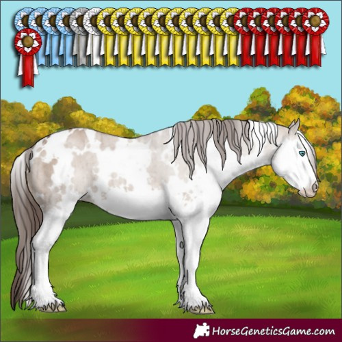 Horse Color:White Spotted Liver Red Dun Splash Brindle