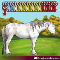 Horse Color:White Spotted Liver Red Dun Splash Brindle 