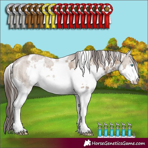 Horse Color:White Spotted Liver Red Dun Splash Rabicano Brindle
