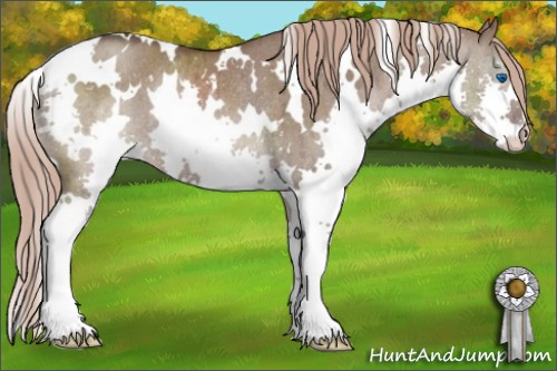 Horse Color:White Spotted Liver Red Dun Splash Rabicano Brindle 