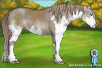 Horse Color:Liver Red Dun Splash Brindle 