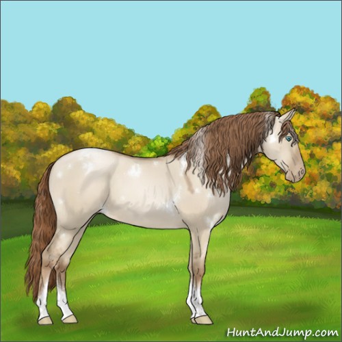 Horse Color:White Spotted Smoky Grullo Pearl Tobiano 