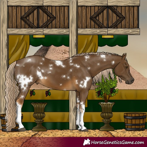 Horse Color:White Spotted Chocolate Palomino Mushroom