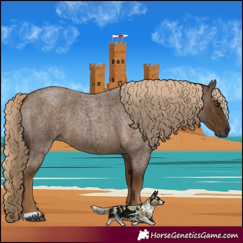 Horse Color:Chocolate Palomino Roan