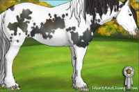 Horse Color:White Spotted Liver Chestnut Splash 