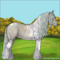 Horse Color:Watercolor Silver Grullo Tobiano 
