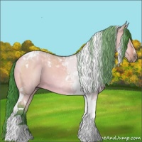 Horse Color:Watercolor Bay Dun Tobiano 
