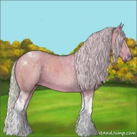 Horse Color:Watercolor Silver Grullo Tobiano 